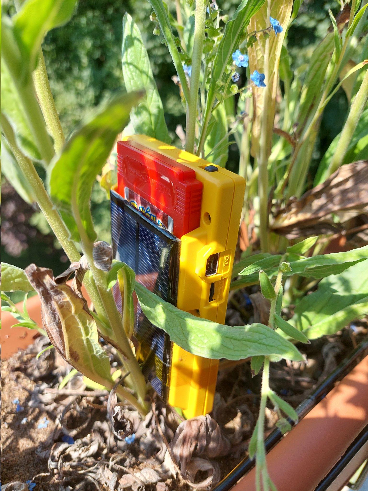 A solar powered game boy sitting amidst some plants