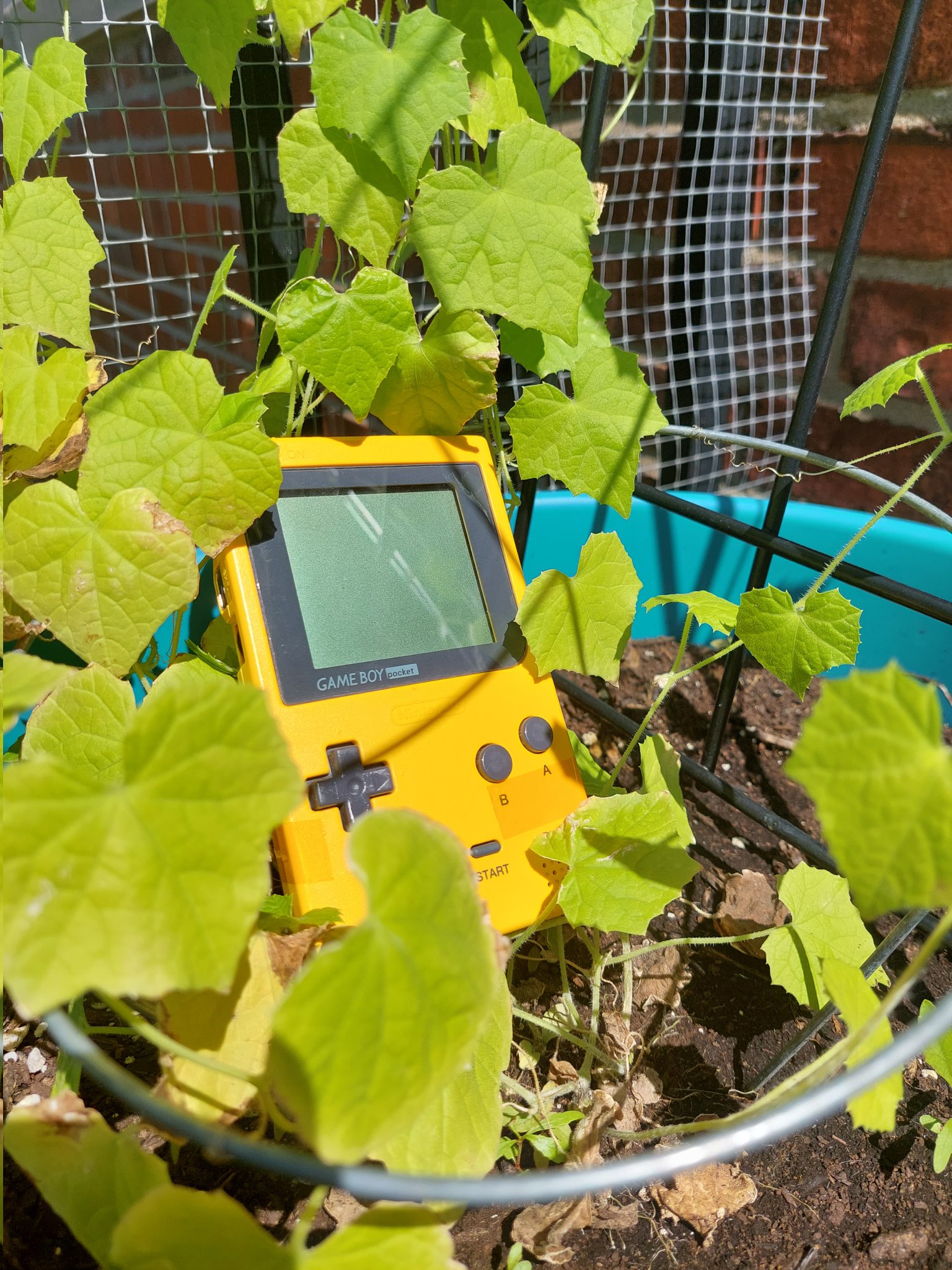 A solar powered game boy sitting amidst some plants